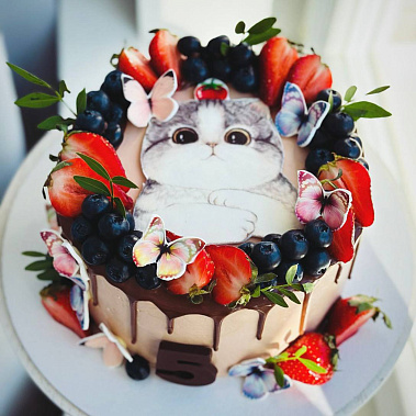 Торт "Котенок" купить - пушкино.сладкоежкин.рф